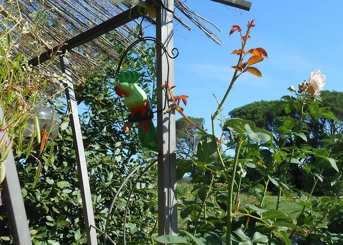 Arie Chez Mimosa Semesterbostad